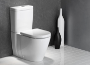 Budget Plumber can repair or install all types of toilets